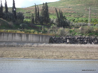 nte Barca-22-12-2012 11-14-49